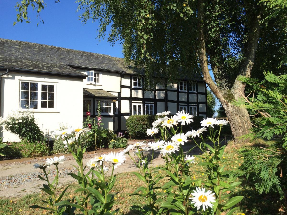 Yew Tree Cottage Leominster Exterior foto